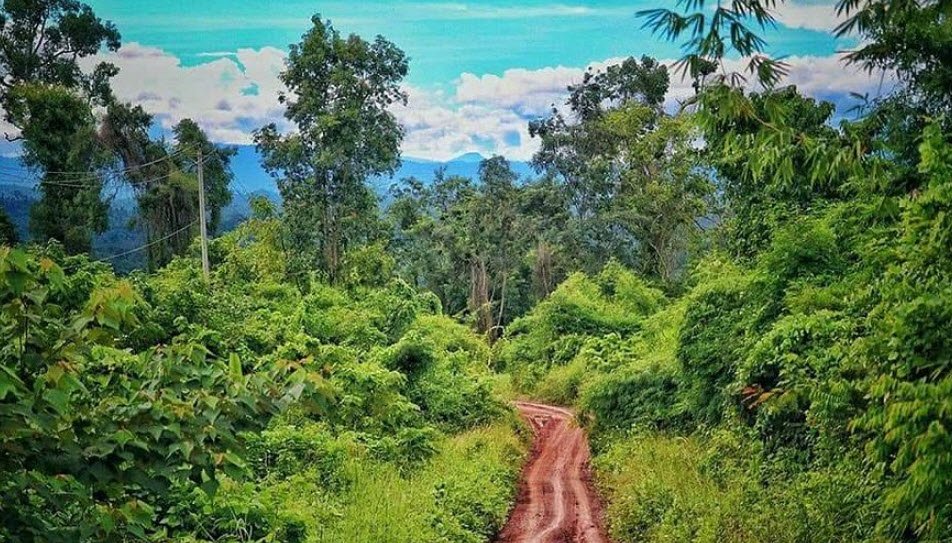 Cardamom Mountains, Southwestern Cambodia, Cambodia